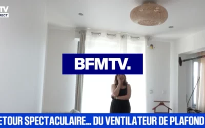 Canicule 2026 : le ventilateur de plafond fait son grand retour selon BFMTV