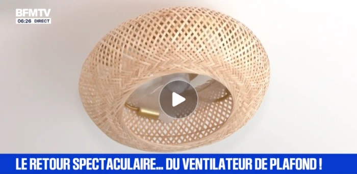 reportage-bfmtv-canicule-le-grand-retour-ventilateur-plafond-01