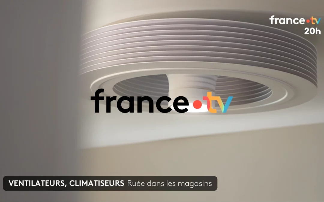 Ventilateur de plafond exhale votre allié pendant la canicule : reportage France 2